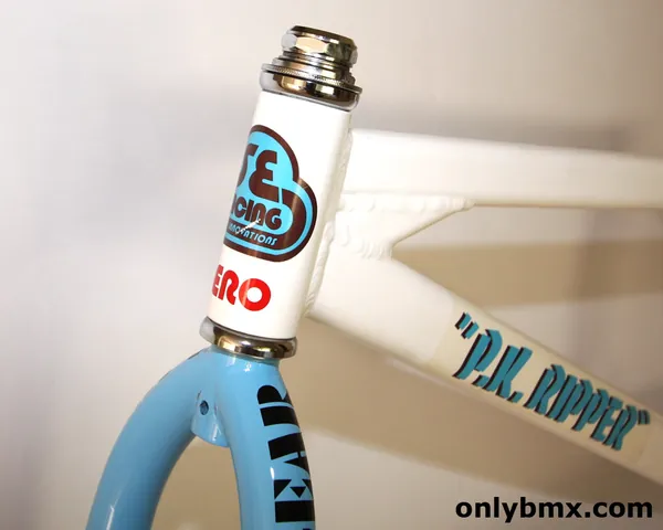 1985/86 SE Racing PK Ripper BMX frame and Landing Gear forks