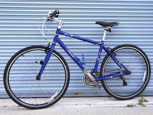 Trek Mountain Bike
