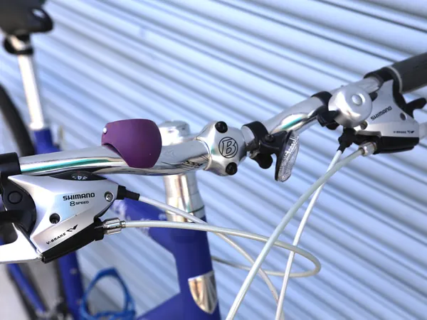 Trek Mountain Bike